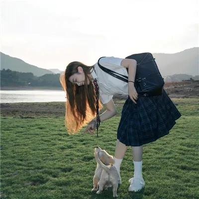 热狗行动