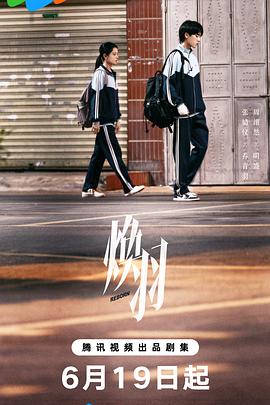 海岸猎鹰 封面图